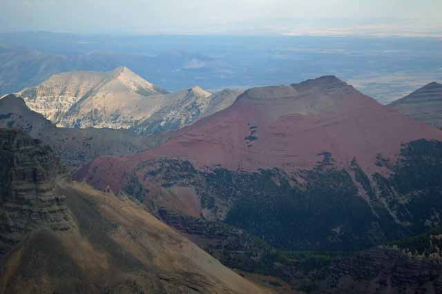 from the heli